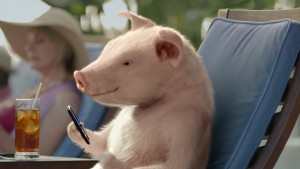 Geico Pig